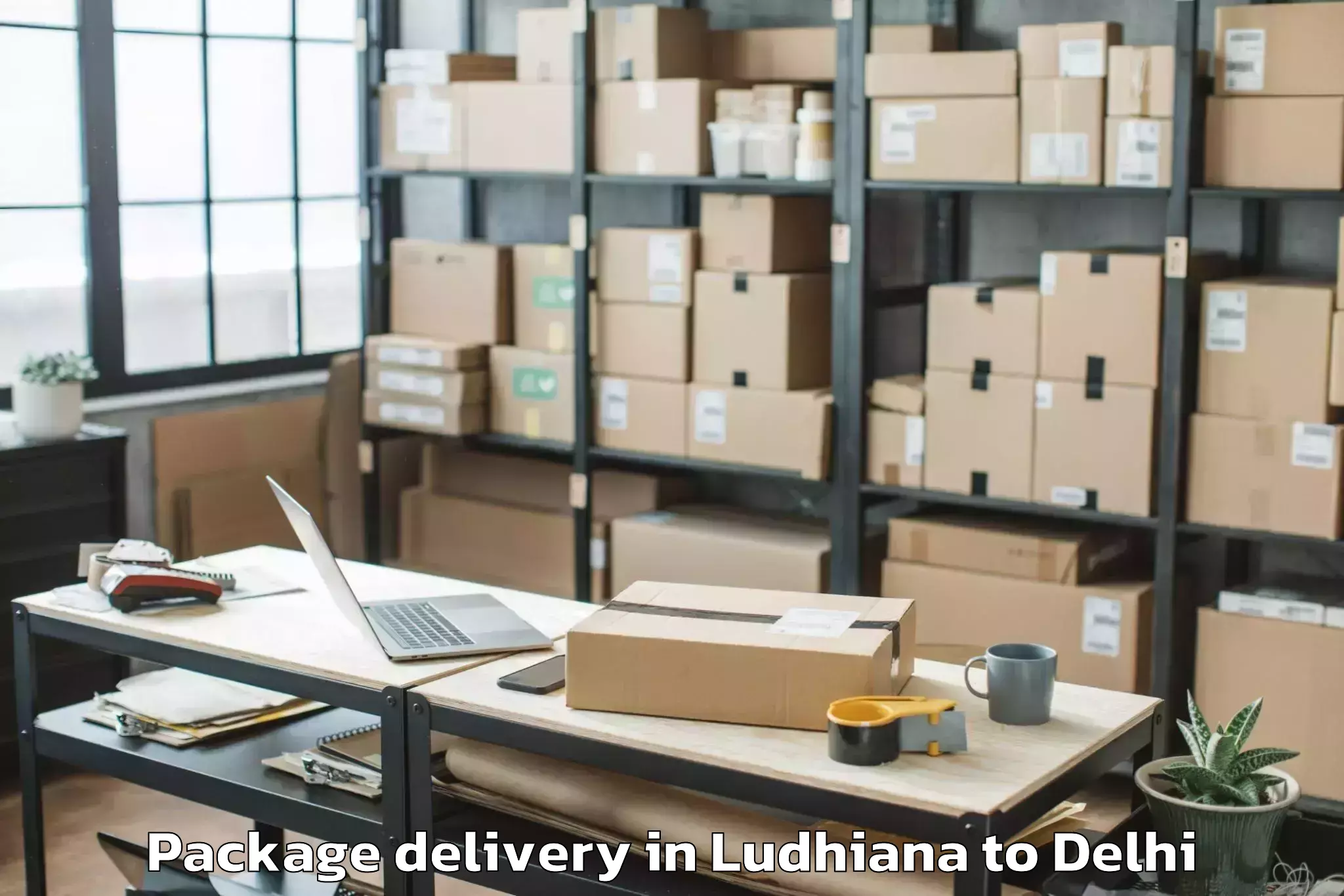 Easy Ludhiana to Jawaharlal Nehru University Ne Package Delivery Booking